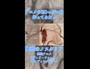 アニメのEDっぽい曲作ってみた！ #宮舞モカ #ボカロ #ボカロオリジナル曲 #vocaloid  #synthesizerv #shorts