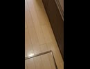 マフィアに追われてる夢