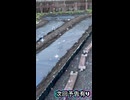 【家庭菜園】雪で大破した砂利止めを修復！ついでにマルチも完璧に張れました【次回予告あり】