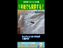 去年のスイカの種、1年後でも発芽する？
