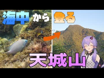 海中から登る！天城山101％リアル登山アタック