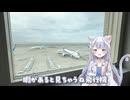 【羽田エクセルホテル東急】部屋から飛行機見えまくり！？飛行機好きにはたまらないホテルに泊まってみた！【vlog】