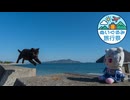 ぬいとぬこの佐柳島【ぬいぐるみ旅行祭】