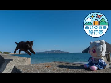 ぬいとぬこの佐柳島【ぬいぐるみ旅行祭】