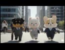 白柴もふ子と仲間たちの会社の犬としての日々