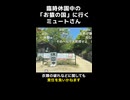 【ミュート】臨時休園中の「お猿の国」に行くミュートさん【2026.5.10/ニコ生切り抜き】