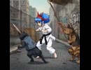 空手家の女の子が猫の不良を倒す動画