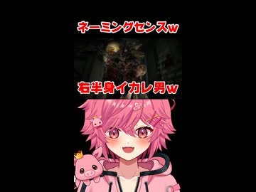 ネーミングセンスが無さすぎるVtuberｗｗｗ 【続きは概要欄の動画リンクから！】 【 バイオハザードRE:2 】 【 芽來-めいく- / 新人Vtuber 】