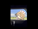 ものすっごい勢いで車の窓を拭いてくれるTTさん