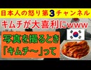 【写真を撮るときキムチ！！！っていうんだよ！】キムチが大喜利状態になり大賑わいの様子/韓国人は子供のころに水で薄めたキムチを強制的に食べさせられる！ #韓国 #キムチ