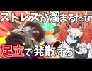 友達と遊ぶエアライダーは楽しいぞい10【カービィのエアライダー】