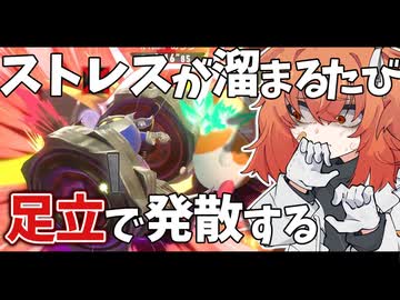 友達と遊ぶエアライダーは楽しいぞい10【カービィのエアライダー】