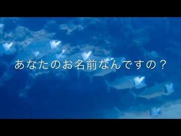 しおやんの沖縄のおさかな紹介①