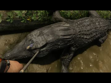 [Green Hell] ジャングル動物園11 [緑色の地獄]