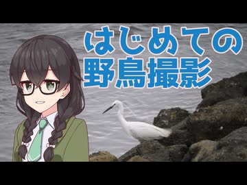 【探鳥】鳥が撮りたい花隈千冬【とある喫茶店の写真と日常】