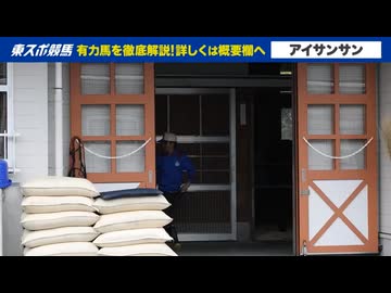 【ヴィクトリアマイル】出走予定馬のフォトパドック