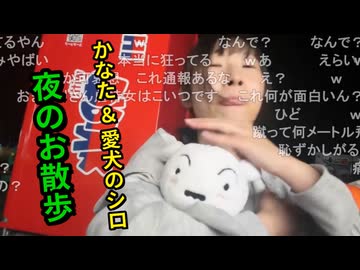 かなたさんが、愛犬のシロを散歩に連れて行く