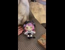 トワ様にゃんこにオヤツをあげるｷｬﾜﾜﾔﾃﾞ