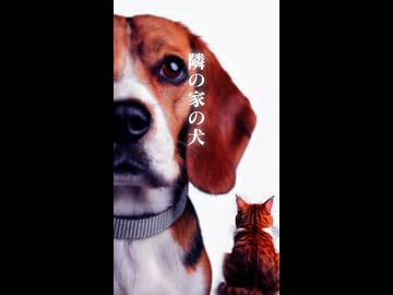 【創作短編】隣の家の犬