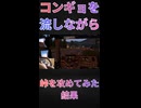 【ETS2】トラックで頭文字D