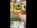 【若返り】 体重低下してた女の子が、プロテインのサプリメントで体重回復と毛並み復活！ #フクロモモンガ #おつモモンガ  #shorts