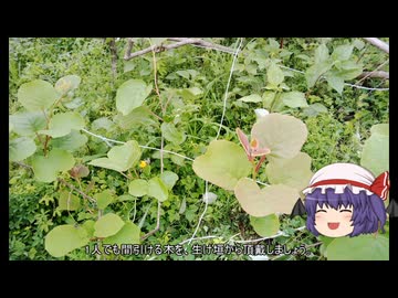 ゆっくり農民285キウイを育ててみませんか？
