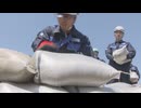 梅雨入り前に福岡市職員が川の氾濫を想定した訓練　実際に水害が起きた際にも活用できる800個の土のうを作り積み方を確認