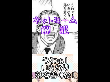 ゆかつむネットミーム解説【うわぁ!いきなり落ち着くな!】