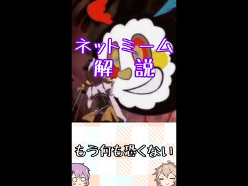 ゆかつむネットミーム解説【もう何も恐くない】