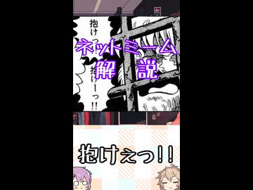 ゆかつむネットミーム解説【抱けぇっ!!】