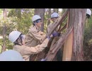工業高校の生徒が卒業制作用の木材を自分たちで間伐　3年間のプロジェクトの第一歩がスタート