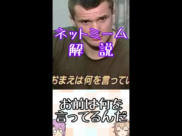 ゆかつむネットミーム解説【お前は何を言ってるんだ】