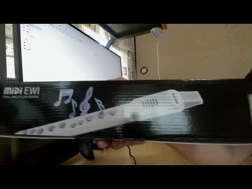 【amazon商品レビュー】中国製のウインドシンセサイザー買ってみた【MIDI EWI】
