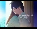 君の病気が治れば feat.鏡音レン / Tera Ginger