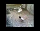 ヤンデレの女の子に死ぬほど愛されて眠れない900