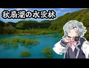 小春六花の休日  自称クール？な六花が水没林へ行く【小春六花誕生祭2026】