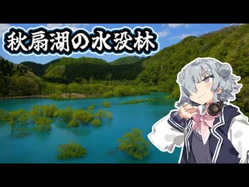 小春六花の休日  自称クール？な六花が水没林へ行く【小春六花誕生祭2026】