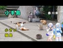 雪さん＆ななさんののんびり離島旅 ～小手島→広島～