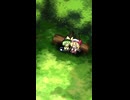 こいしの日だよ！
