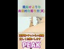 典型的な落ち方【PEAK】