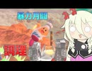 【ソフトウェアトーク実況】IAちゃんのエアライダー35【カービィのエアライダー】