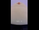 十面相 / YM (acapella cover)