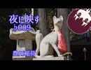 夜に映す ♭009 豊川稲荷