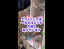 【オカメインコ】個性爆発！一斉おはようの儀を執り行いました。