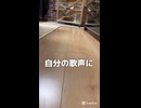 【オカメインコ】昔は歌えた！自分の歌声につられてやってるくのは誰だ！？