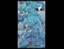 【#SYNDUALITYEchoofAda 】アイテム消えたと思ってガチ焦りｗ【#しゅたぽ日記 】