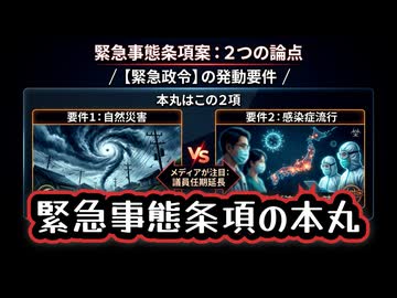 ◆議員任期延長は目くらまし？緊急事態条項（国家緊急権を定める憲法条項）の本丸