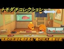 トモダチコレクション　住民の生活を覗き見る　島の住人観察日記（ポケモン編）　＃５４０　【トモコレわくわく生活】