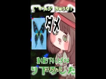 ( ﾟ∀ﾟ)o彡きゅうり！きゅうり！