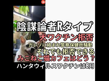 陰謀論者Rタイプ　犬ワクチン拒否でガレソに絡まれ警察市役所が家に来るもワクチン拒否できたと投稿　みこねこ猫カフェはワクチン拒否してる？8月にハンタウィルスワクチンはじまるエコノミスト予定